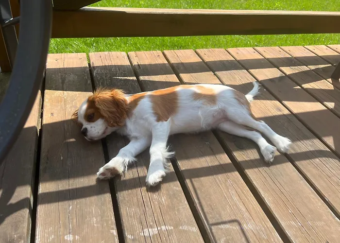 Дом отдыха Caloroczne Z Antresola Przytulisko Na Mazurach Ручане-Нида